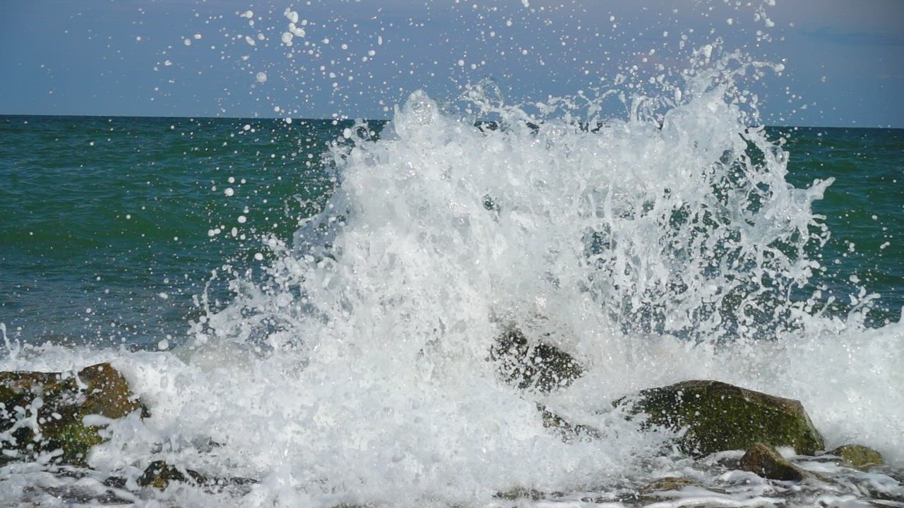 Free with no sign up